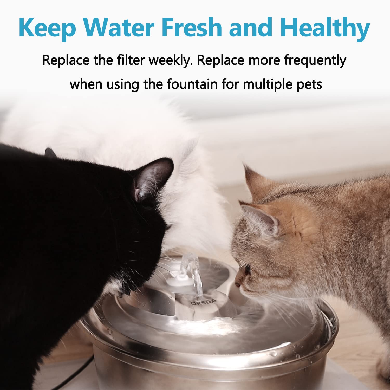 ORSDA rinse-before-use tip improves filter effectiveness for new setup