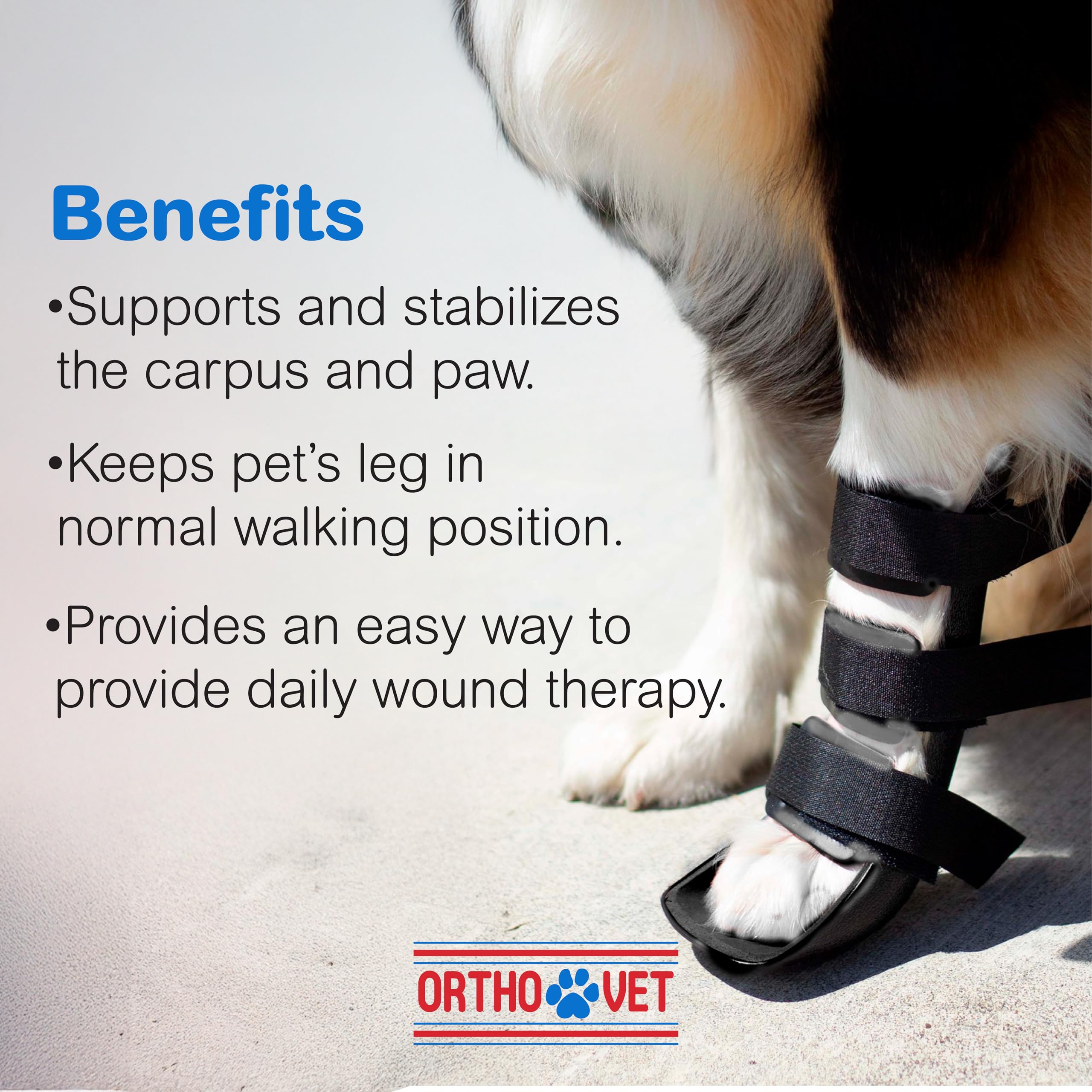 OrthoVet front leg brace providing arthritis support for a dog's front leg.