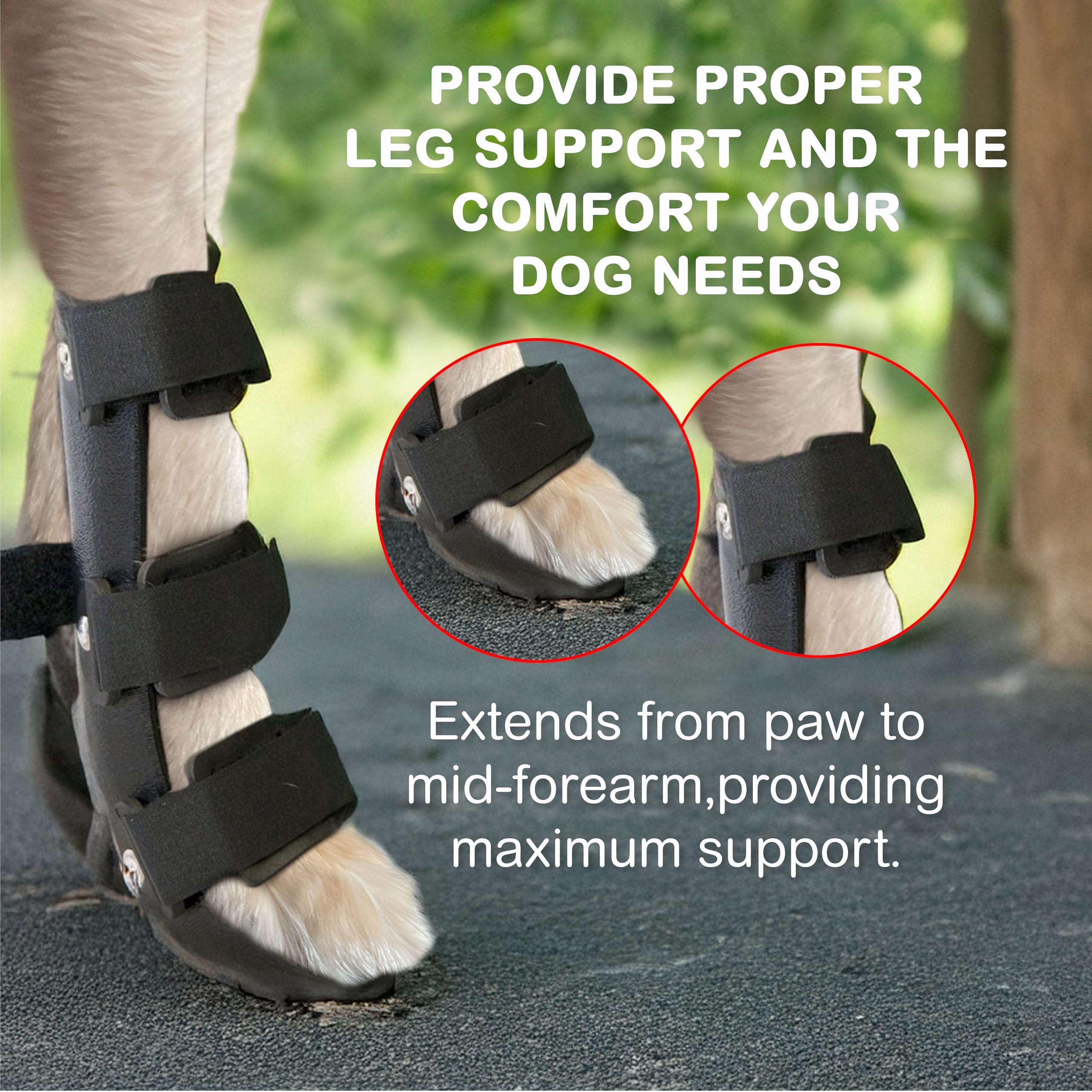 OrthoVet front leg brace stabilizing the carpal joint during movement.
