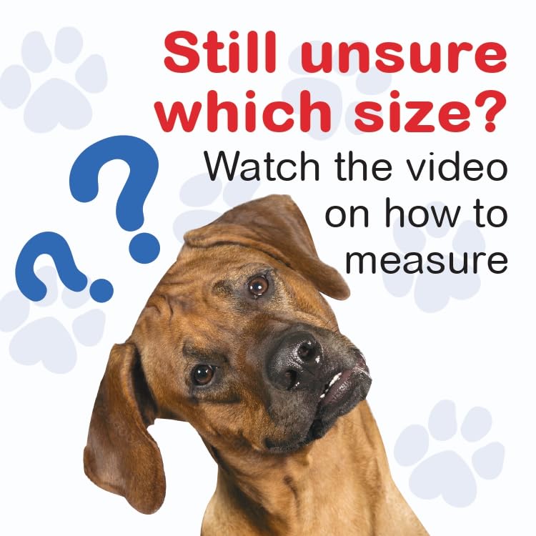 OrthoVet front leg brace worn during a dog-walking session to support mobility.