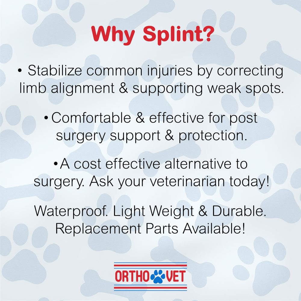 OrthoVet front leg brace showing ergonomic design for natural paw-to-forearm alignment.