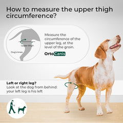 Ortocanis knee brace neoprene material detail highlights flexible, comfortable support.