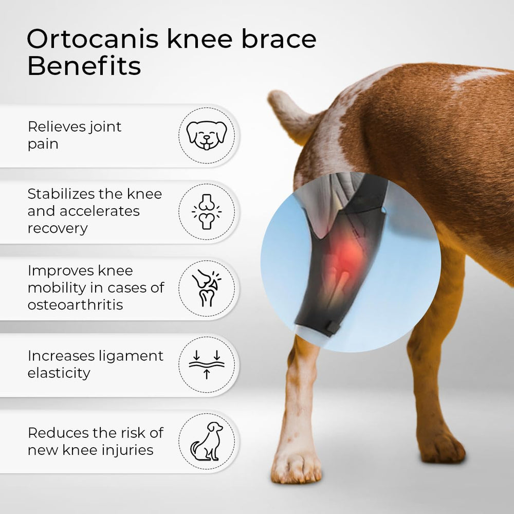 Ortocanis neopreno ARD para perros: material suave que ofrece confort y soporte diario.