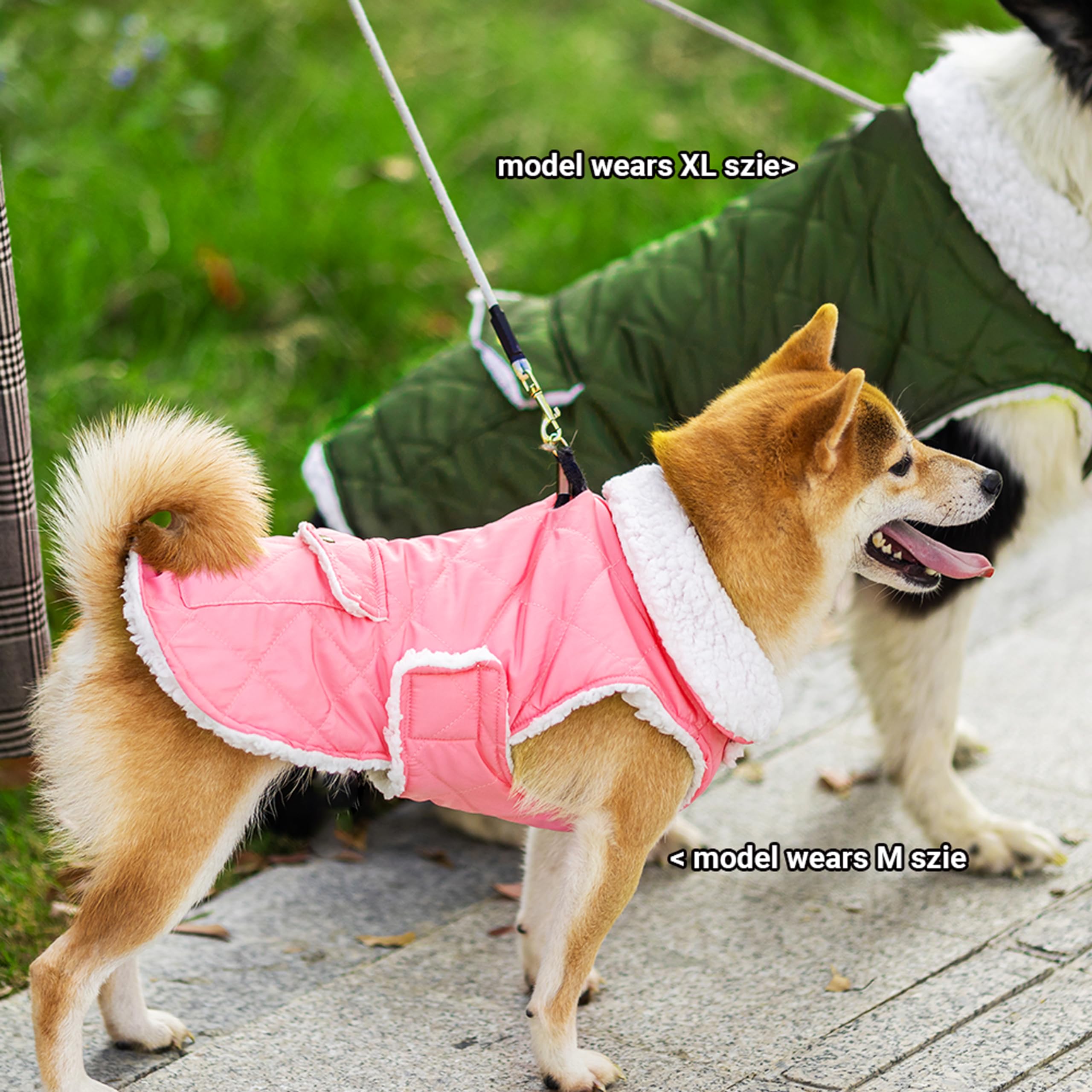 ORZECHKO dog-winter-coat-cotton-fleece-inner offers soft warmth against cold winds.
