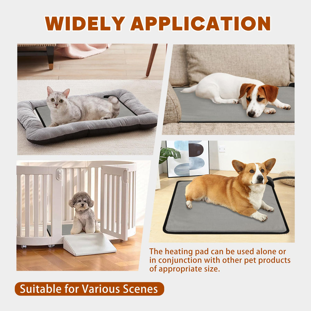 Orznez cat on pad image illustrating cozy comfort during quiet lounging
