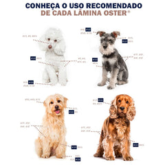 oster replacement blade cryogenx treatment highlights long-lasting sharpness for durable grooming.