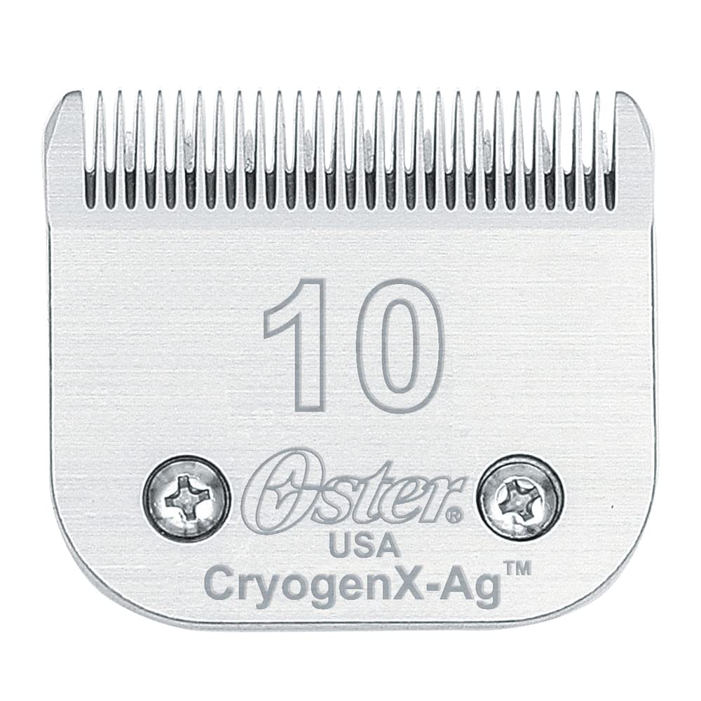 oster replacement blade precision-cut demonstrates precise grooming for poodle coats.