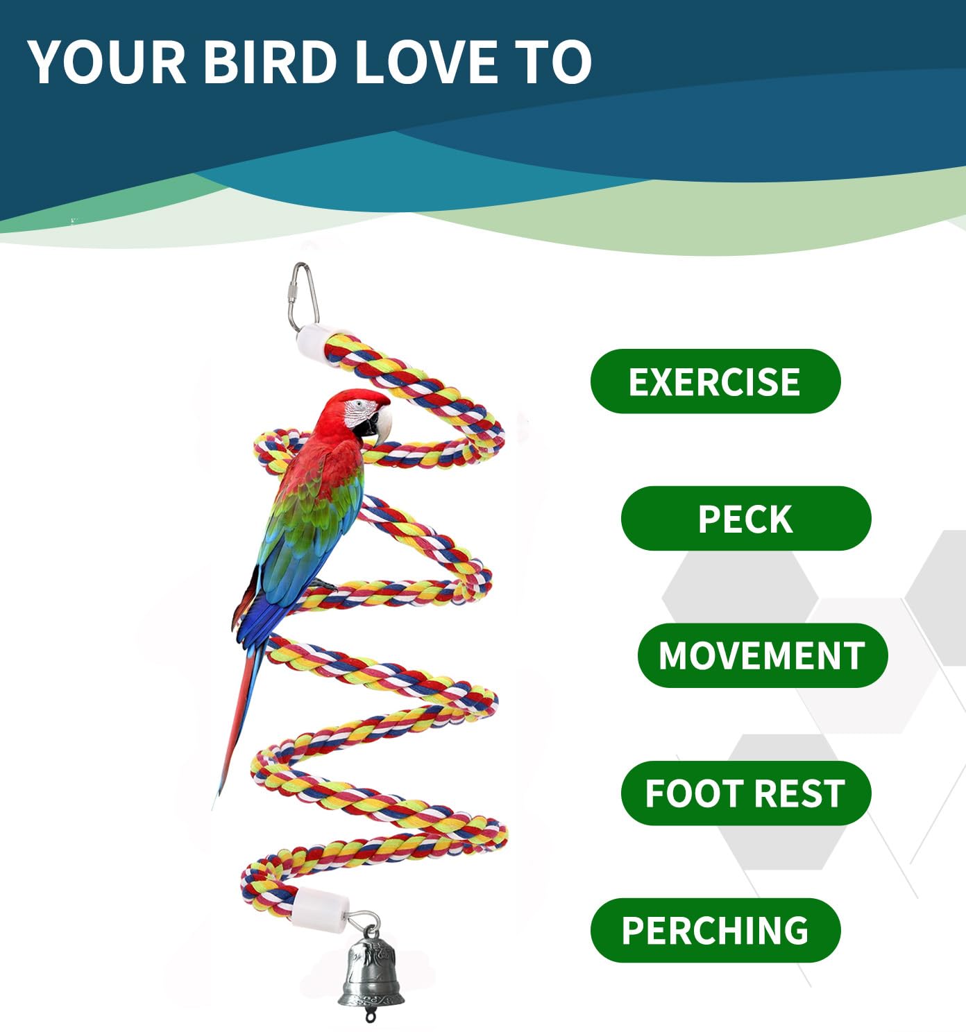 OSWINMART Senegal parrot using perch highlights coordination and climbing