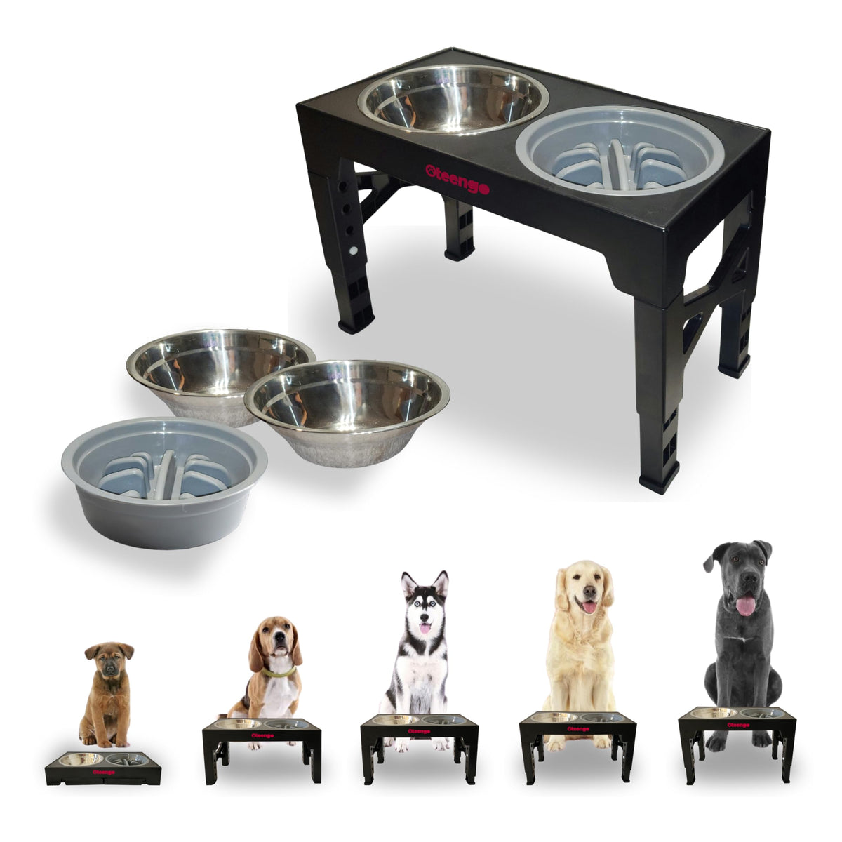 Oteengo 5-tier elevated dog bowl stand with two stainless bowls offers comfortable feeding posture.