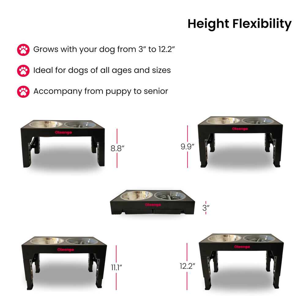 Oteengo dog feeding station with stainless bowls keeps meals organized and stylish.