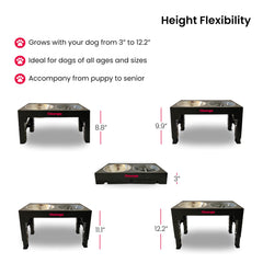Oteengo dog feeding station with stainless bowls keeps meals organized and stylish.