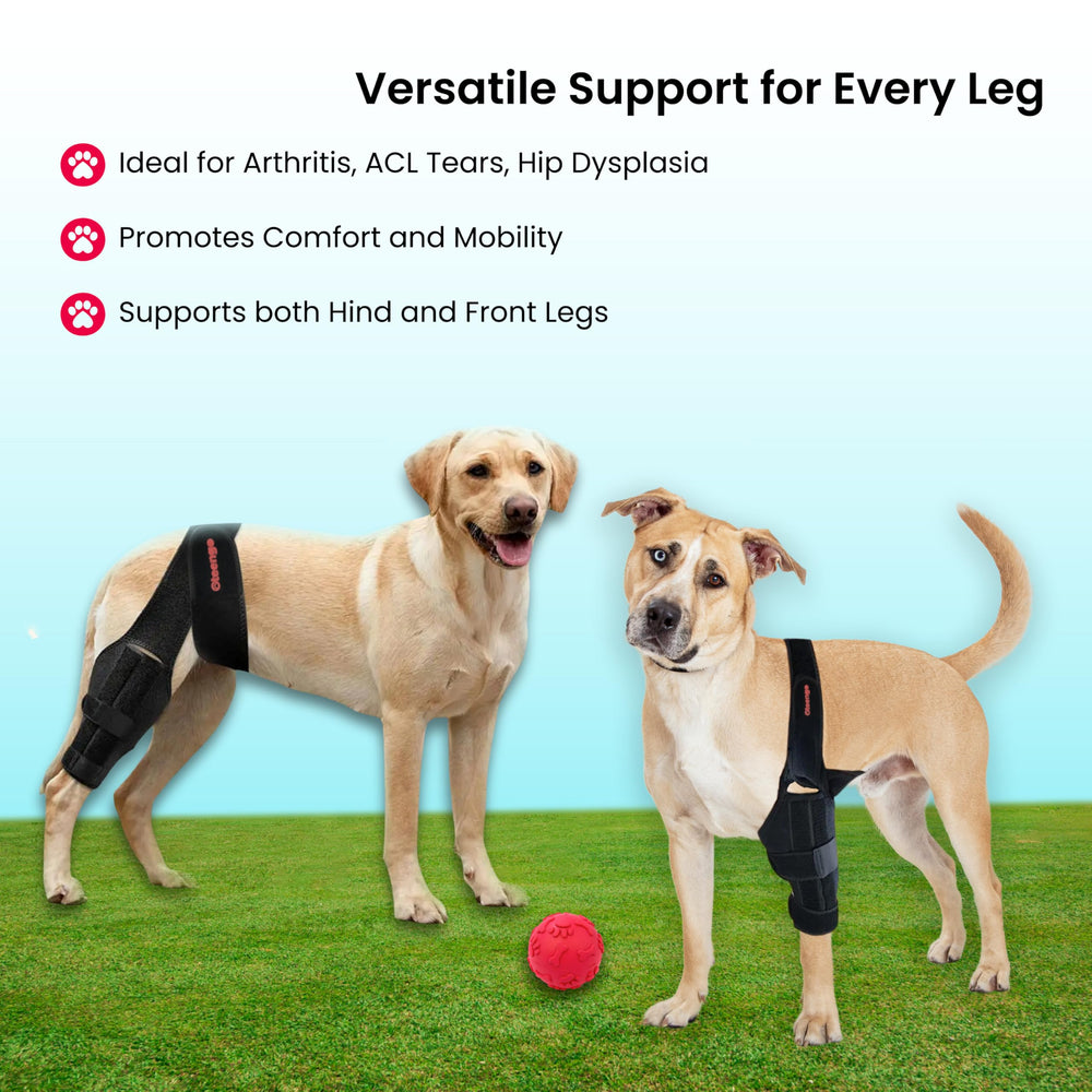 Oteengo knee brace with adjustable straps enable a secure, customizable fit.