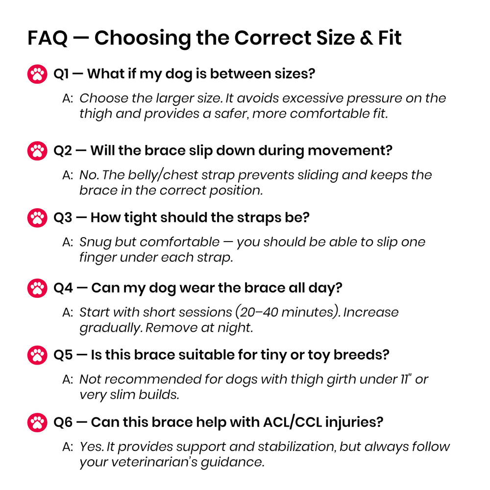 Oteengo dog knee brace breathable fabric keeps dogs cool during activity
