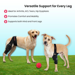 Oteengo dog knee brace hind leg support aids mobility for arthritic dogs