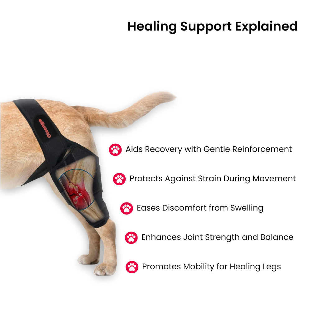 Oteengo dog knee brace post-surgery recovery support