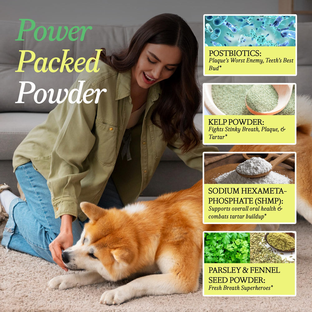 Other Half Doggie Dental plaque-tartar-control: cleaner teeth potential.