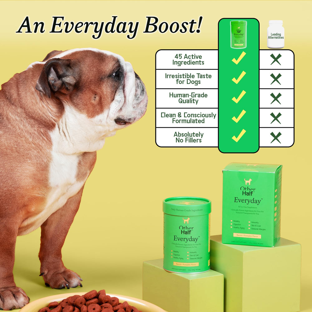 Other Half Everyday mixed into dog food in a bowl illustrates hassle-free serving.