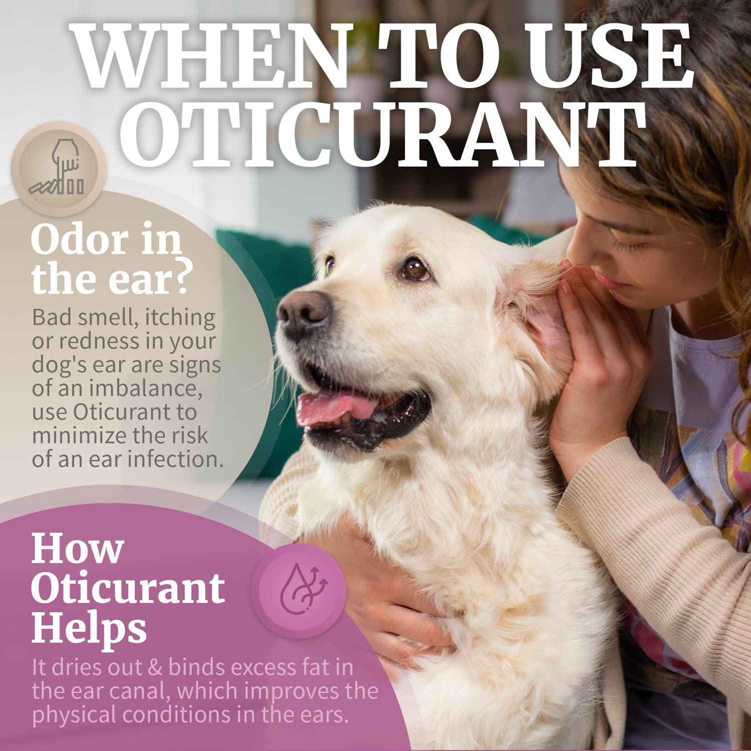 OTICURANT dog ear powder closeup highlighting a dry ear environment