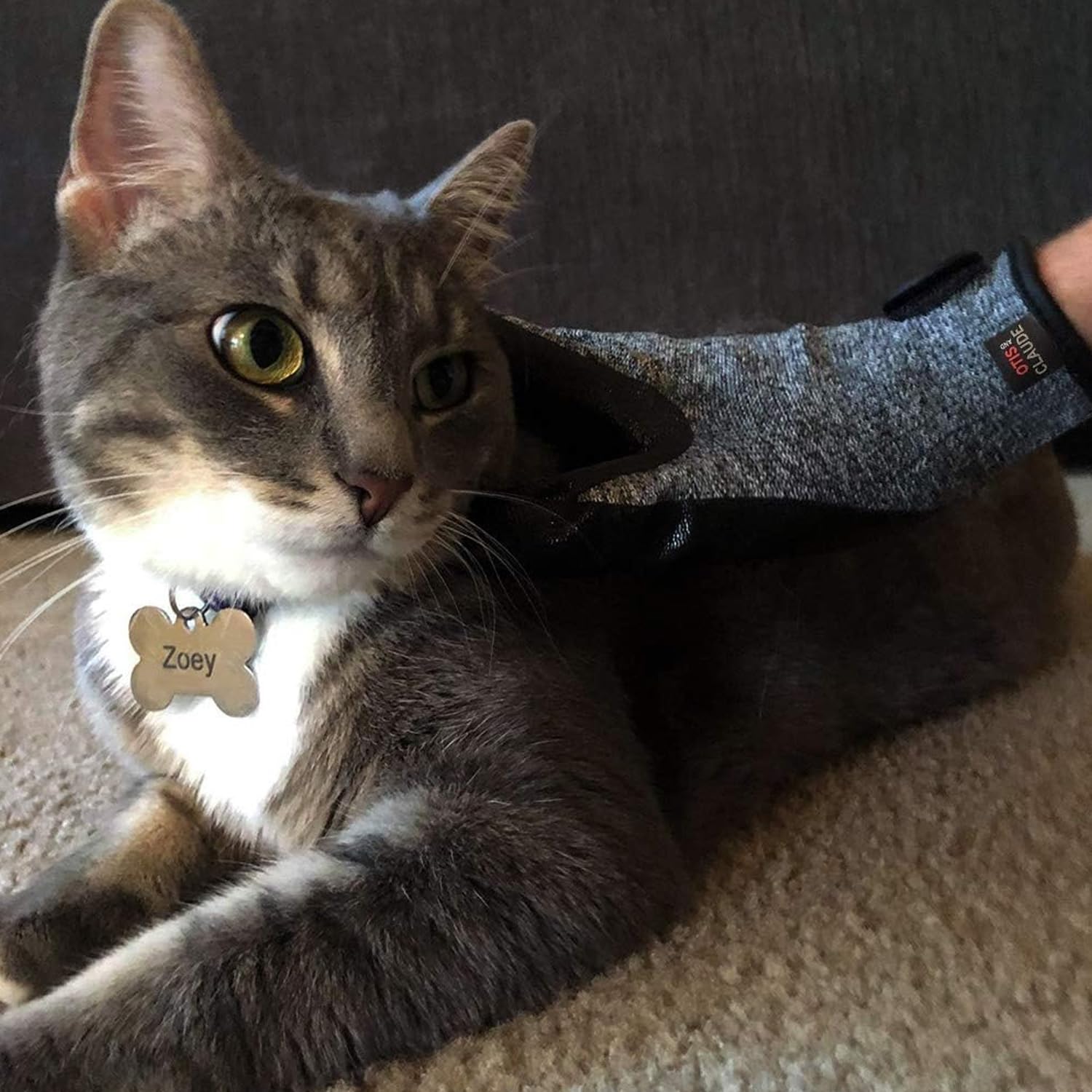 Otis and Claude grooming gloves textured nodules provide gentle skin-safe stimulation.
