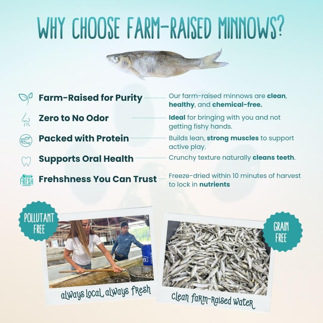 Otis and Pearly freeze-dried minnow treats container closeup reveals texture and freshness