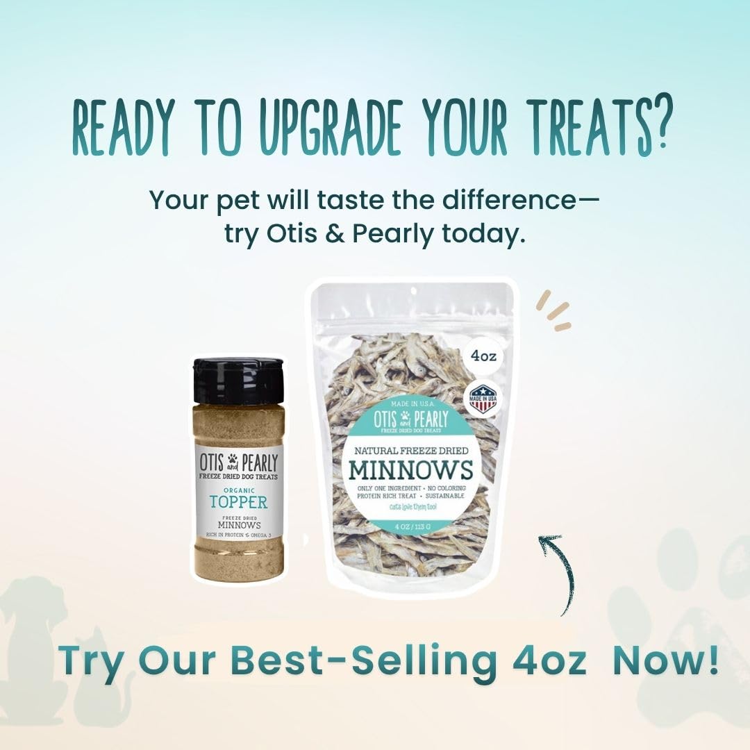 Otis and Pearly minnows indoors training odor-free option