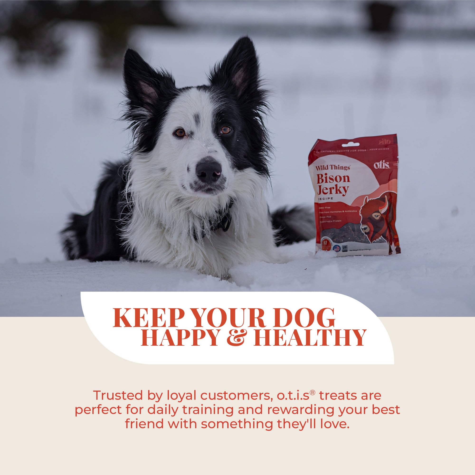 OTIS Wild Things bag supporting medical dog programs