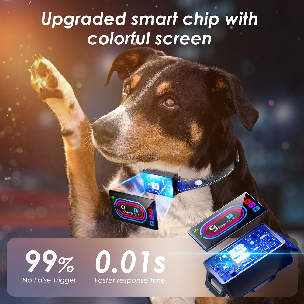OTK bark collar IPX7 waterproof design for rain or poolside use