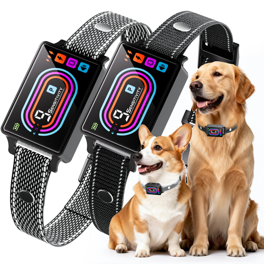 OTK dog bark collar two-pack for versatile training with two dogs