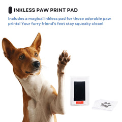OtterPets dog collar display option adds a personal touch to memory displays.