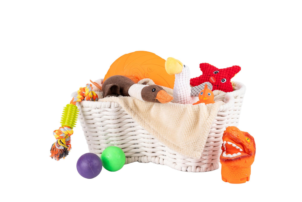 OtterPets stackable design saves space when not full