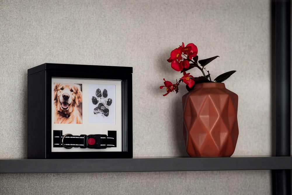 OtterPets dog urn with ashes storage and keepsakes in classic black
