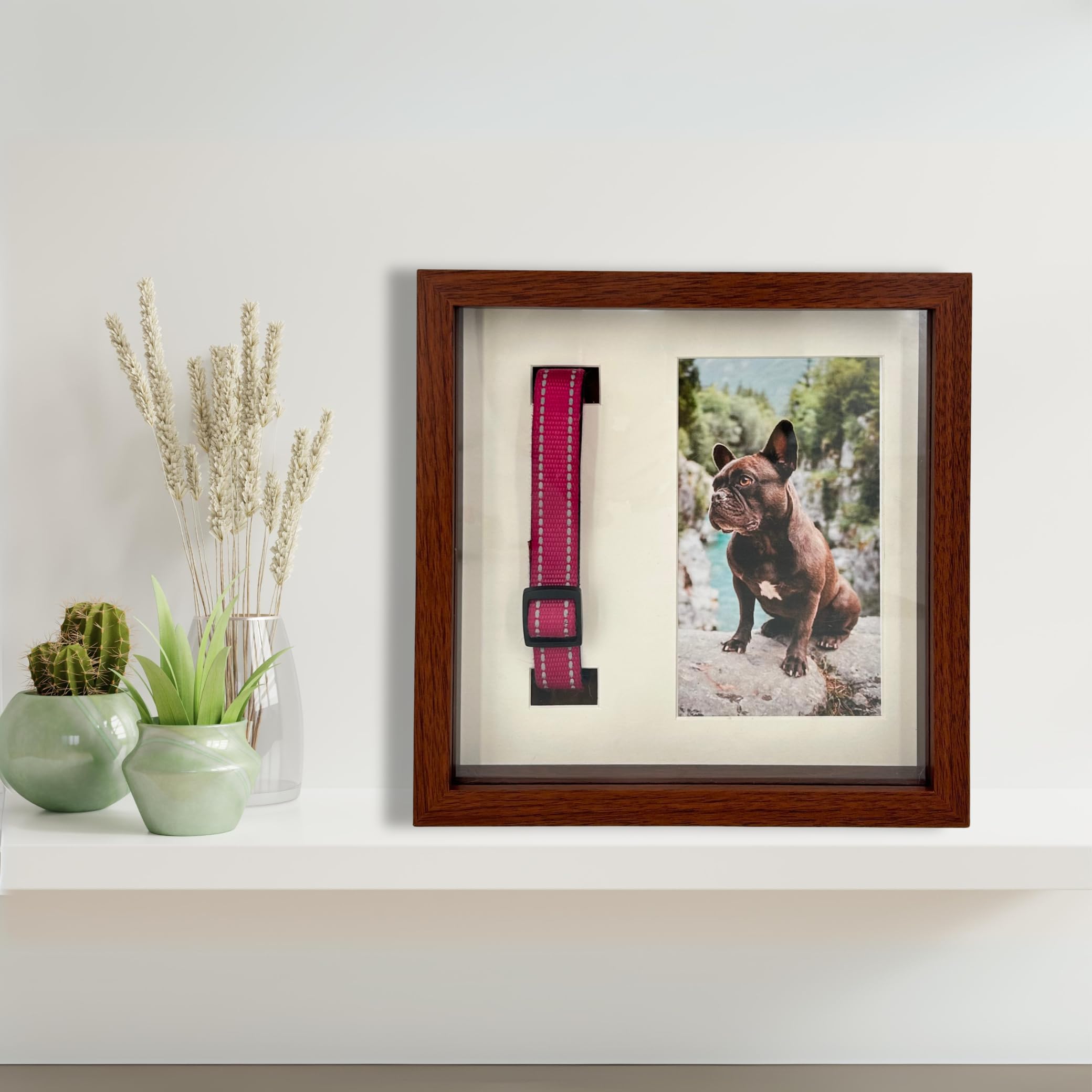 OtterPets wall-hanging or flat-display option suits any room setup.