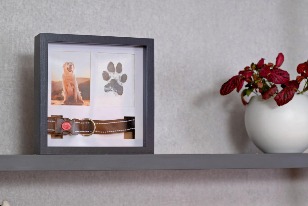 OtterPets frame shown on shelf and wall for flexible placement.