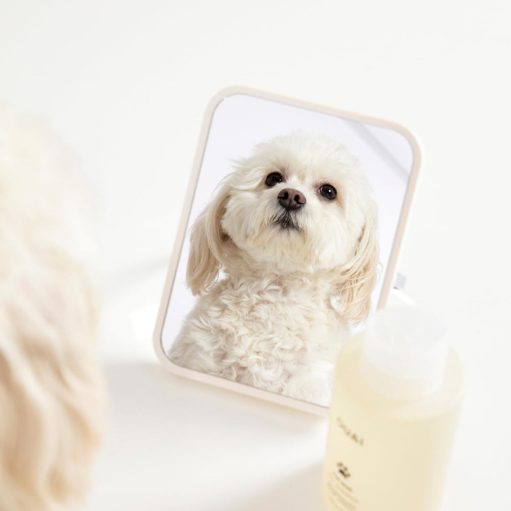 OUAI Fur Bébé aloe vera closeup emphasizes conditioning properties