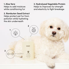 OUAI Fur Bébé shampoo label closeup highlighting Mercer Street scent