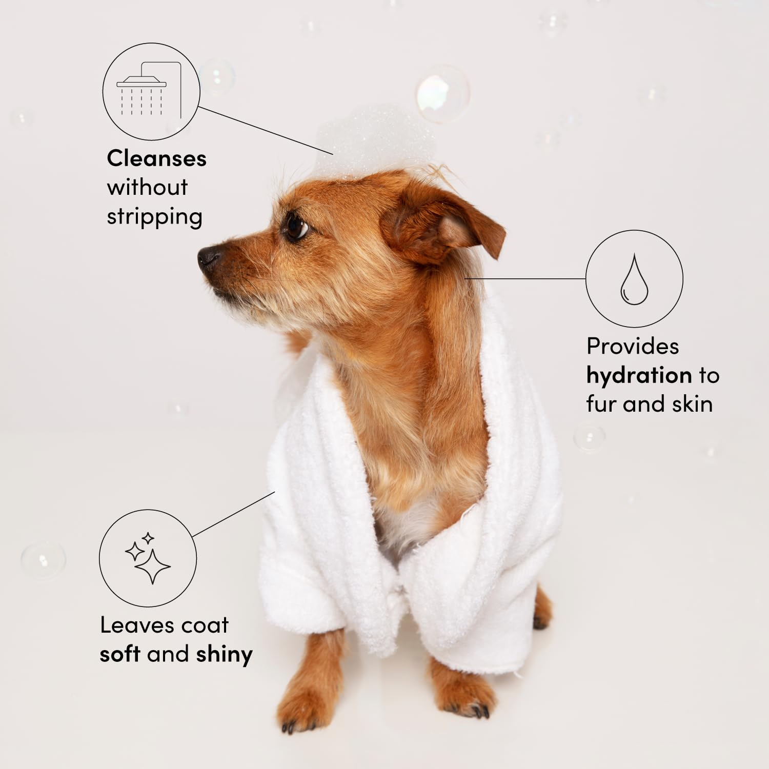 OUAI Fur Bébé shampoo foam-lather demonstrates rich cleansing action