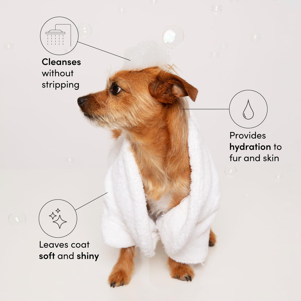 OUAI Fur Bébé shampoo foam-lather demonstrates rich cleansing action