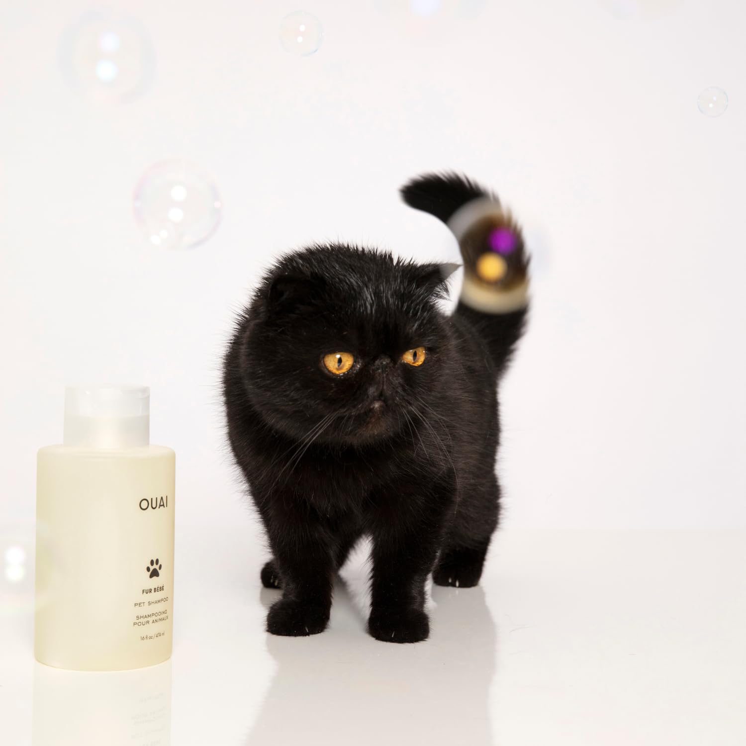 OUAI Fur Bébé 16oz packaging indicating long-lasting grooming solution