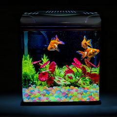 Oubest Glow Rocks fish-tank decor brightens nighttime viewing with durable, non-toxic stones