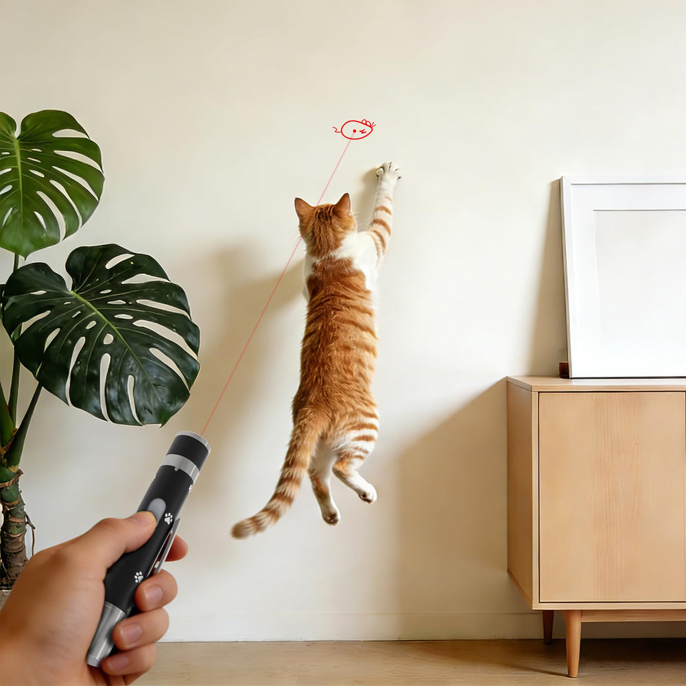OUMSIS indoor dog and cat play toy supports bonding and exercise.
