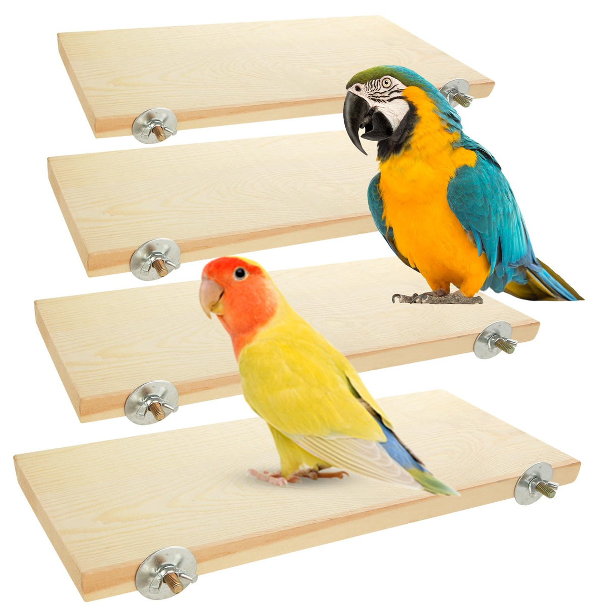 Oungy bird perch stand assembly shows easy setup for secure landing.