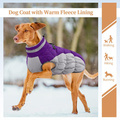 OUOBOB D-ring leash attachment enables secure leash connection.