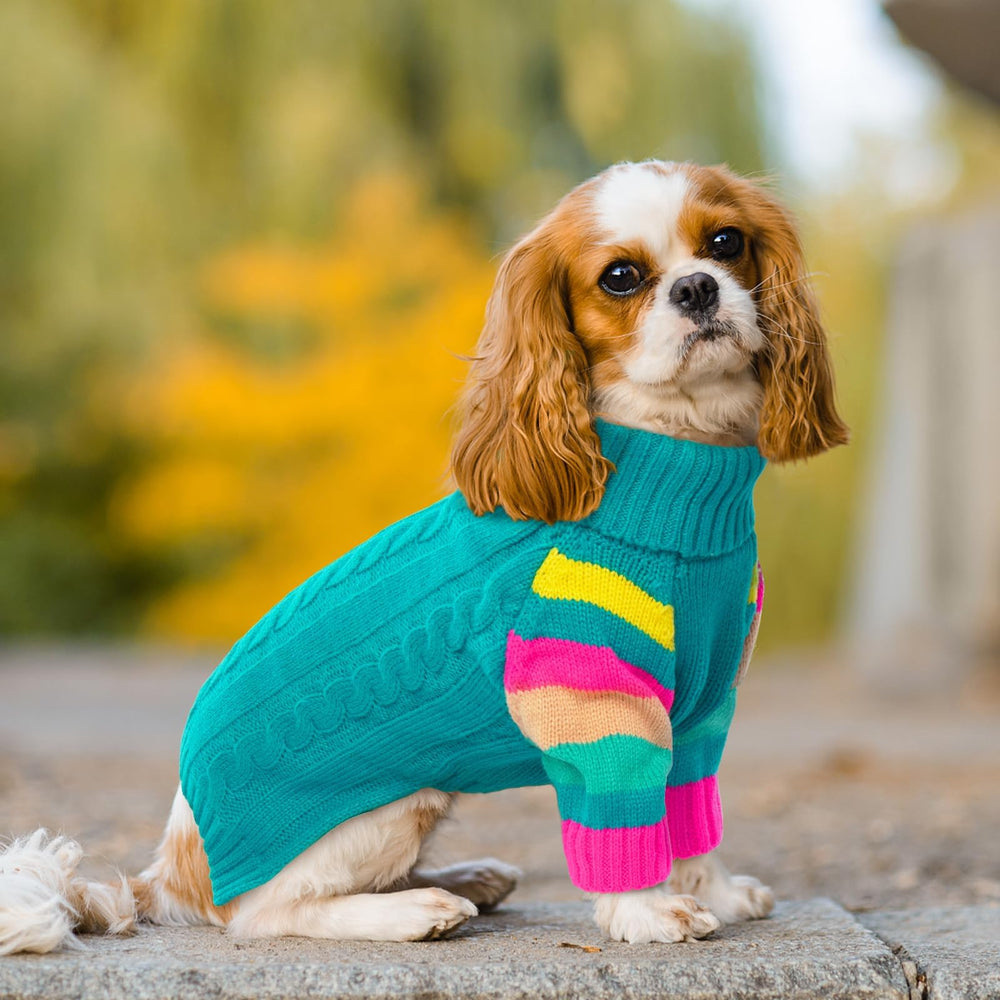 OUOBOB dog sweater worn during walk demonstrates easy pullover design