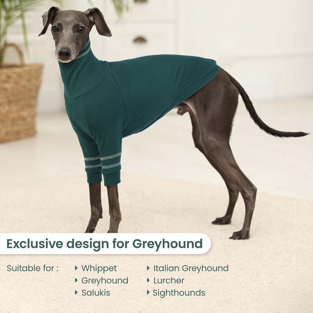 OUOBOB Greyhound pullover neck close-up highlights turtleneck warmth.