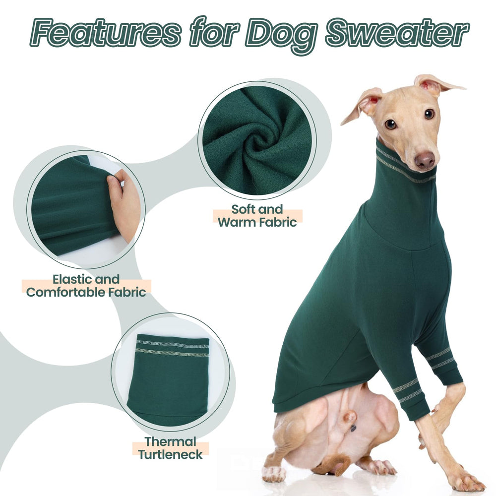 OUOBOB Greyhound sweater back view with snug, season-spanning fit.