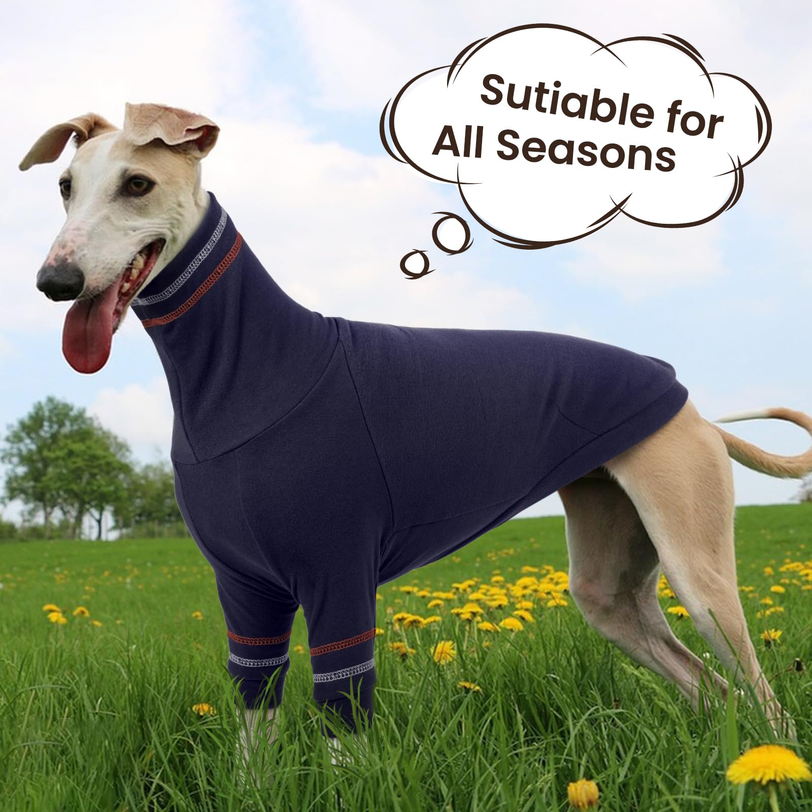 OUOBOB greyhound sweater packaging shot ideal for storage and gifting.