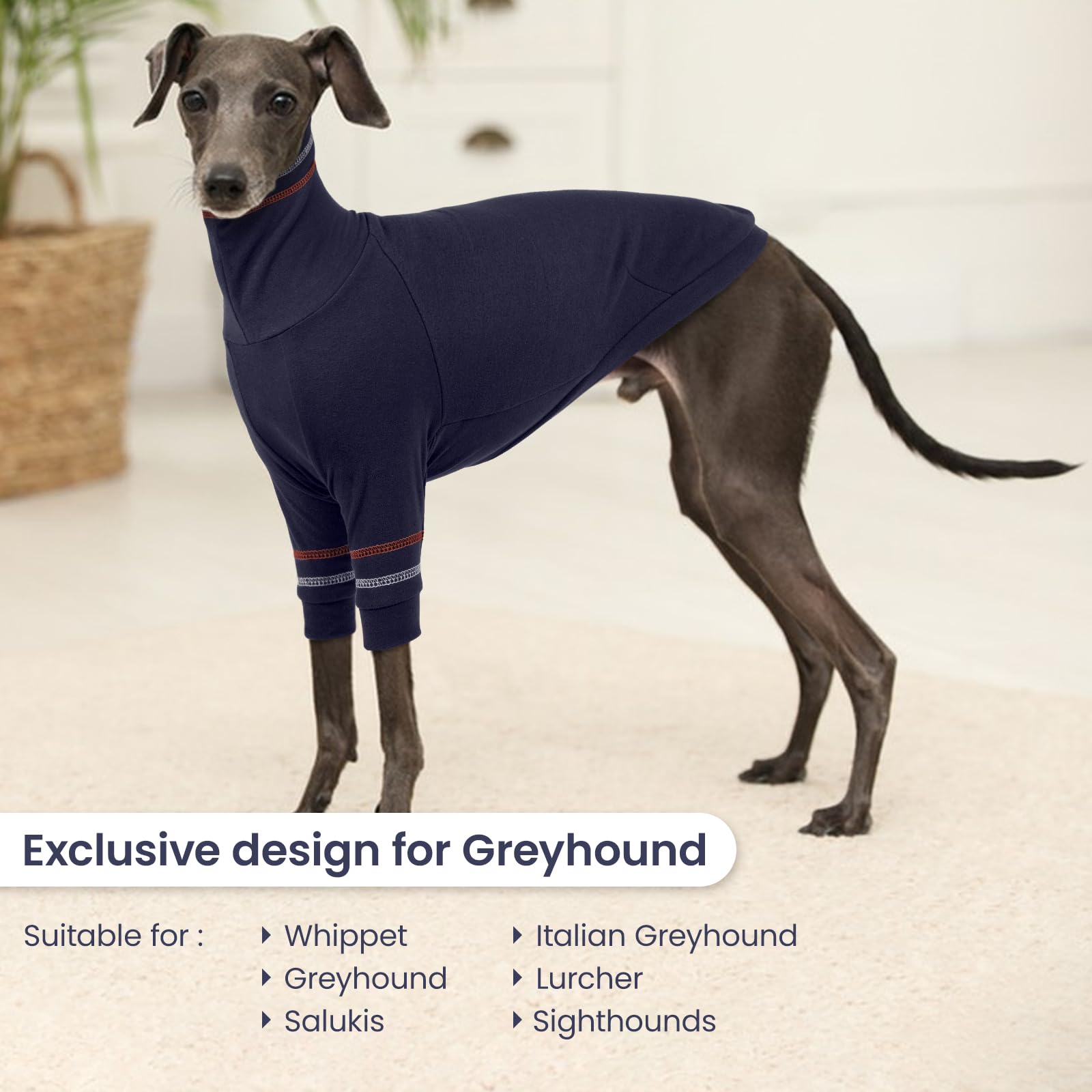 OUOBOB greyhound sweater model indoors demonstrating comfort for chilly evenings.