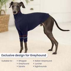 OUOBOB greyhound sweater model indoors demonstrating comfort for chilly evenings.