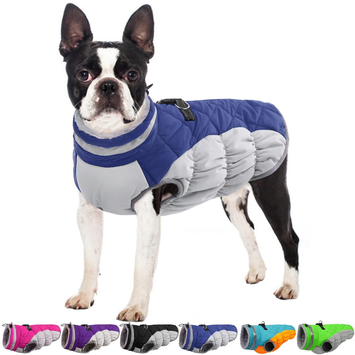 OUOBOB Winter Dog Coat blue back-zipper detail for easy on/off.