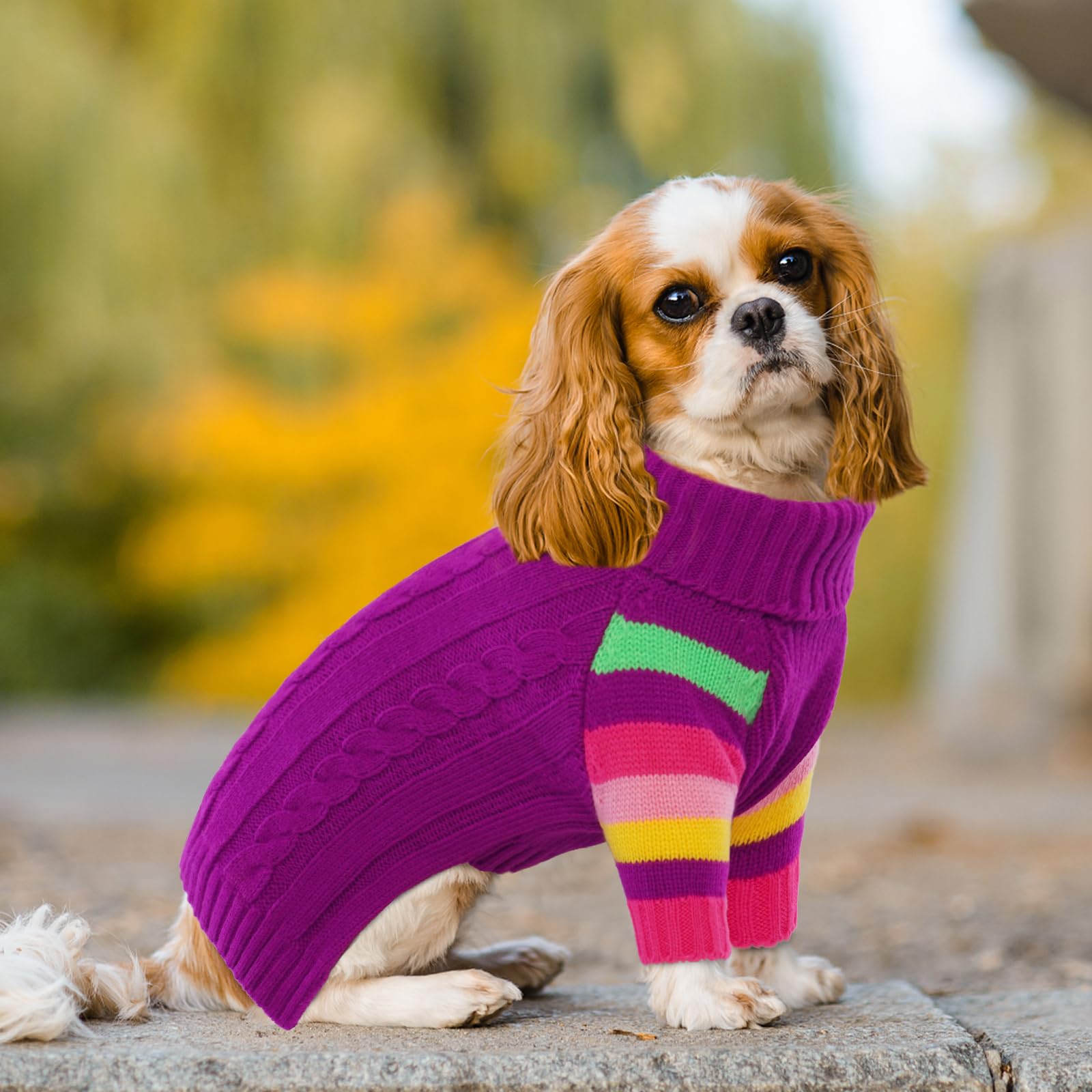 OUOBOB XLarge dog sweater front pullover design for easy on and off.